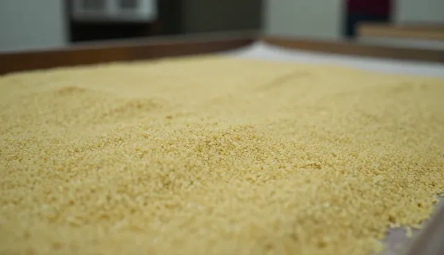 杂粮面品质影响因素与应用场景分析